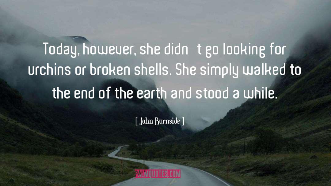 Broken Shells quotes by John Burnside