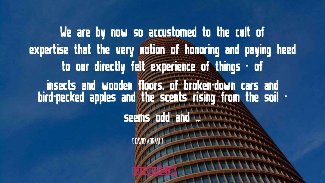 Broken Souls quotes by David Abram