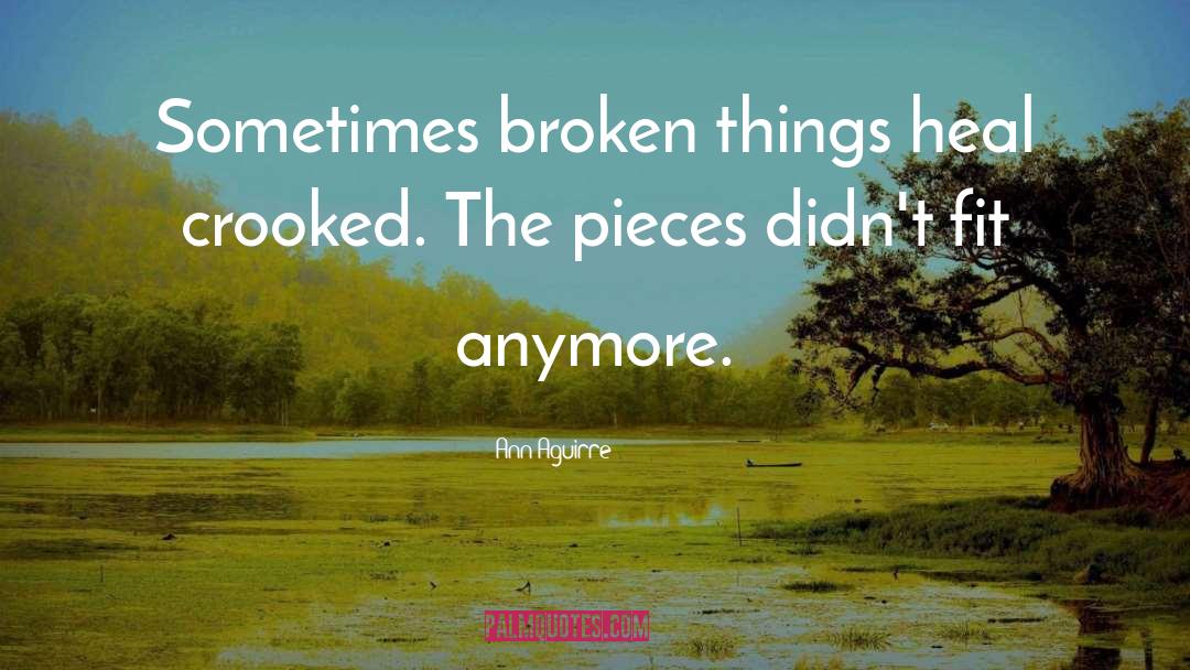 Broken Things quotes by Ann Aguirre