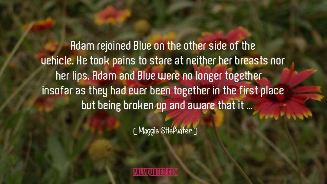 Broken Up quotes by Maggie Stiefvater