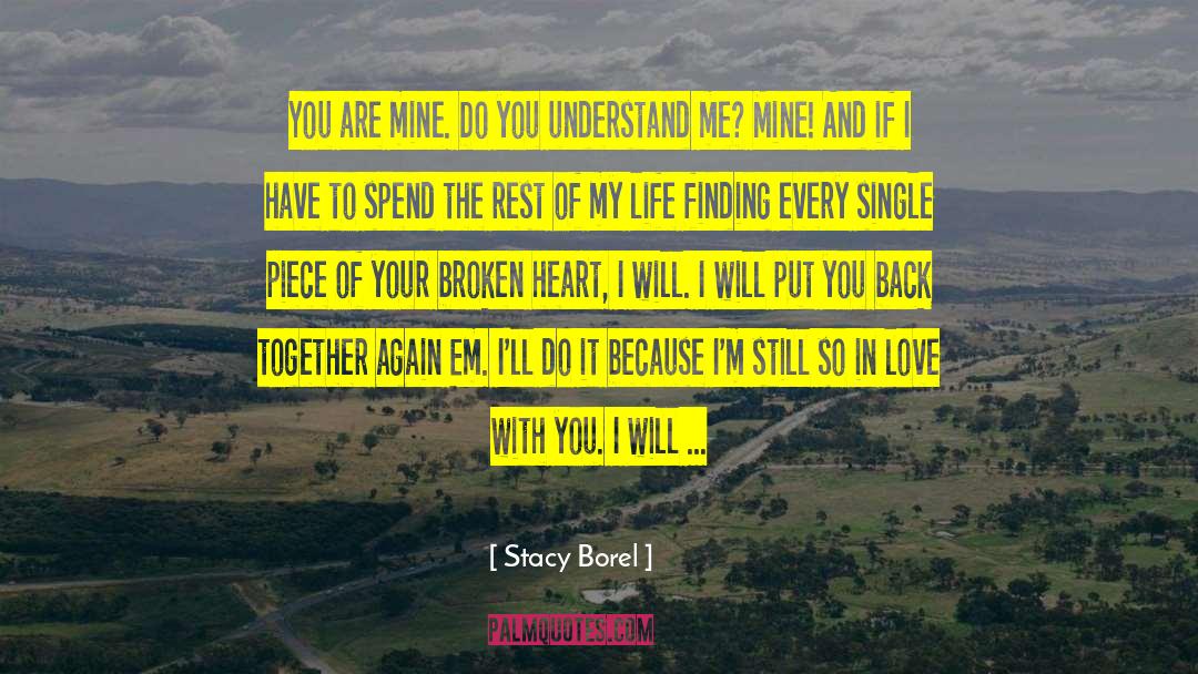 Broken Vows quotes by Stacy Borel