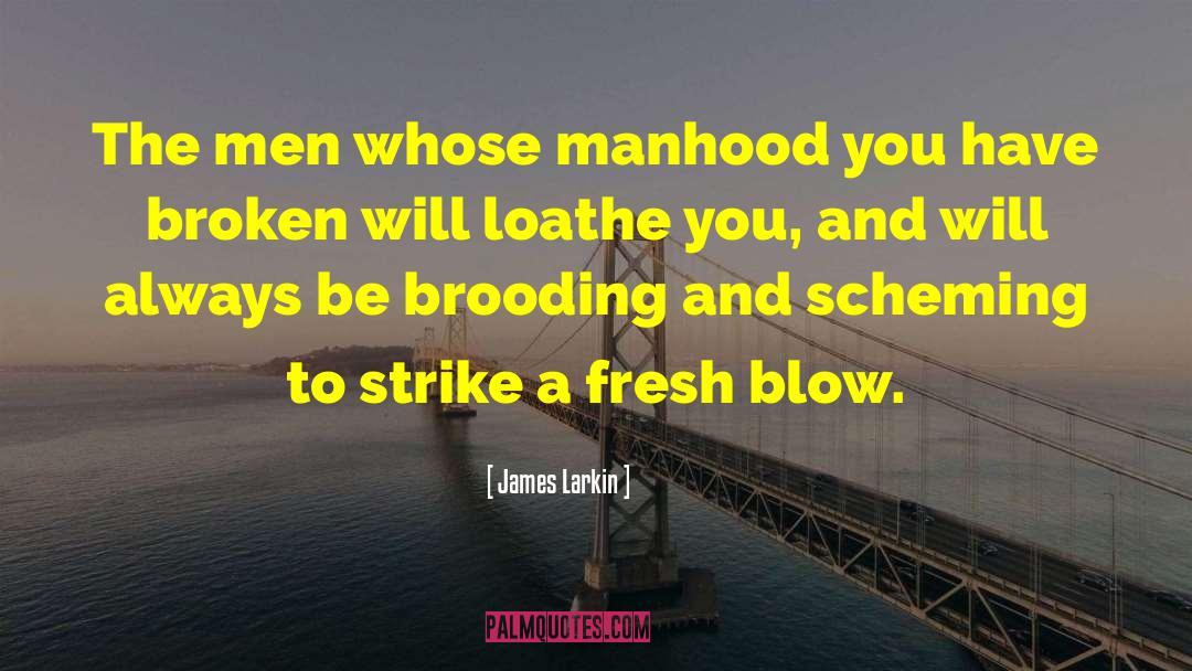 Broken Will quotes by James Larkin