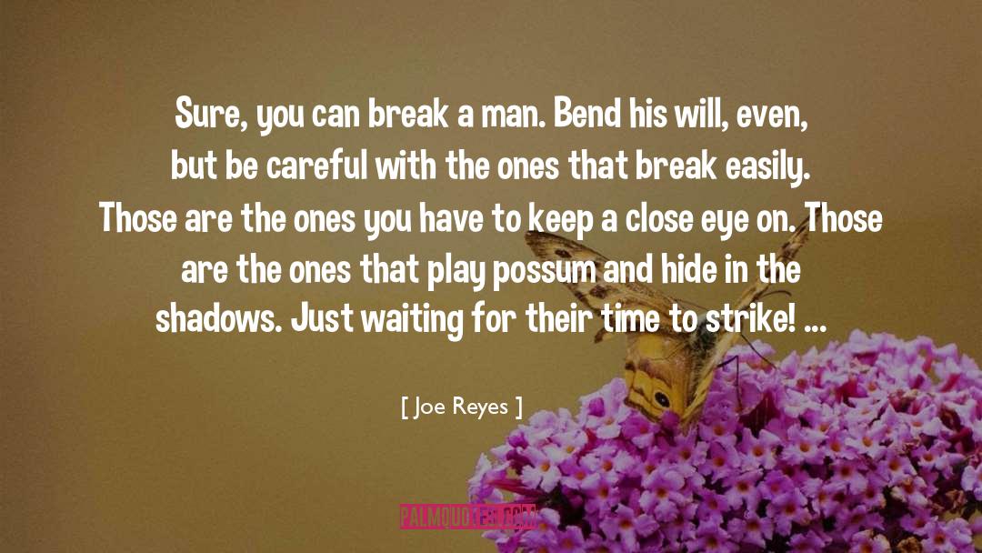 Broken Will quotes by Joe Reyes
