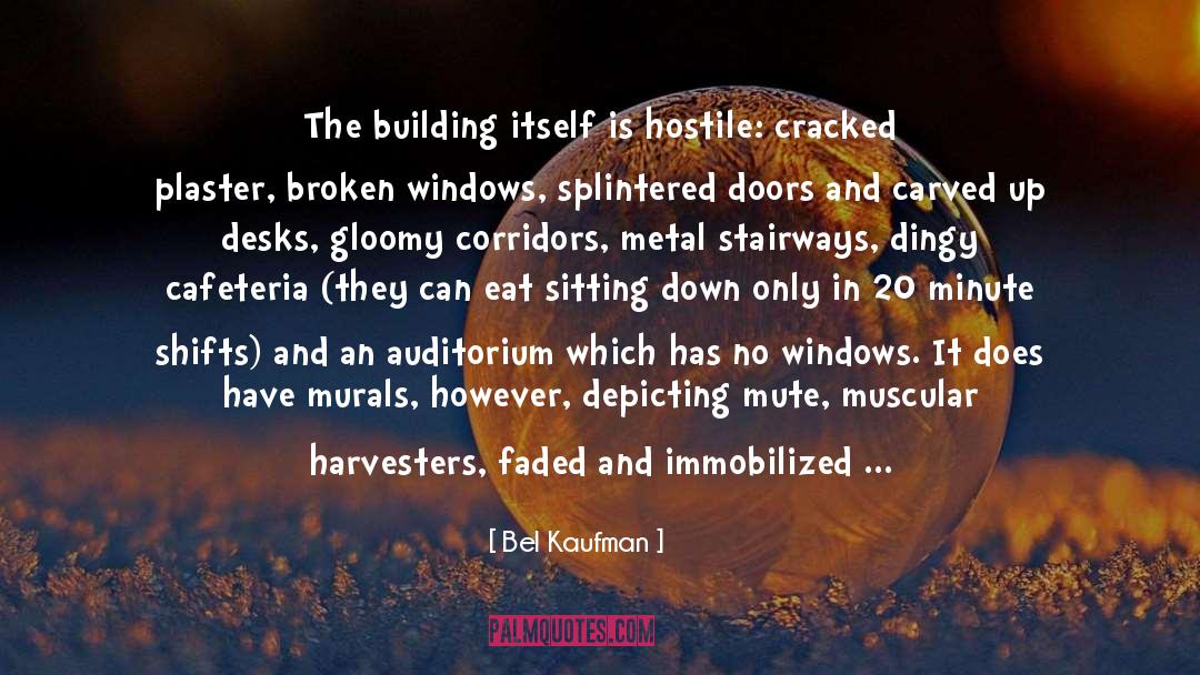 Broken Windows quotes by Bel Kaufman