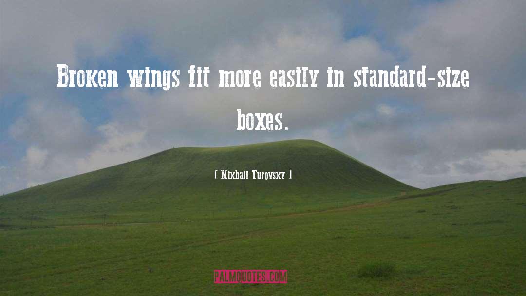 Broken Wings quotes by Mikhail Turovsky