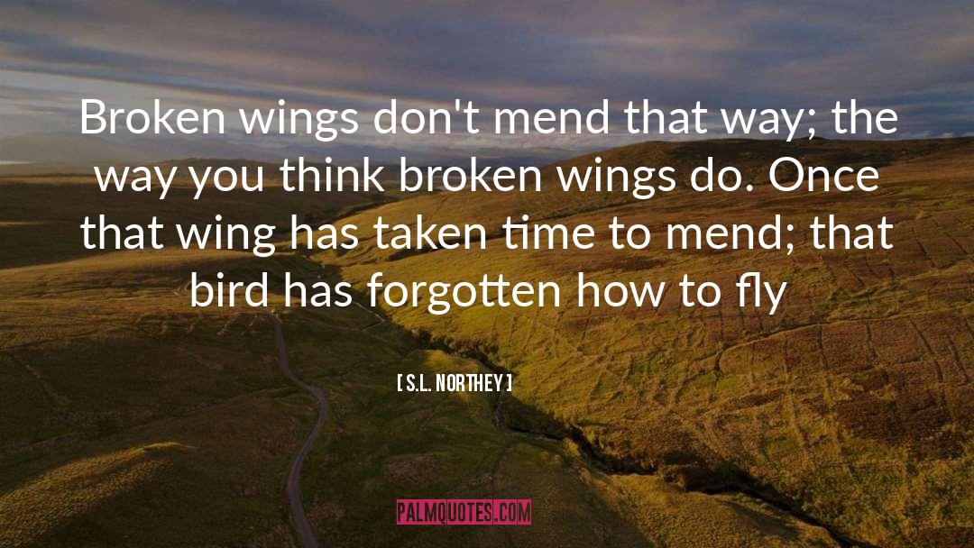Broken Wings quotes by S.L. Northey