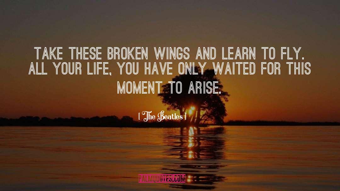 Broken Wings quotes by The Beatles