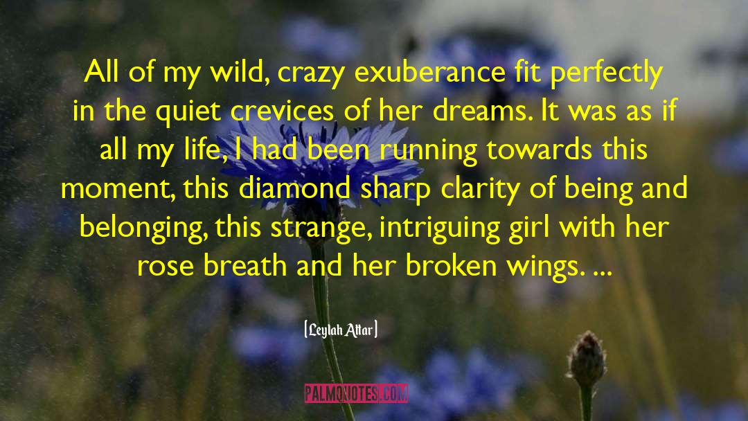 Broken Wings quotes by Leylah Attar