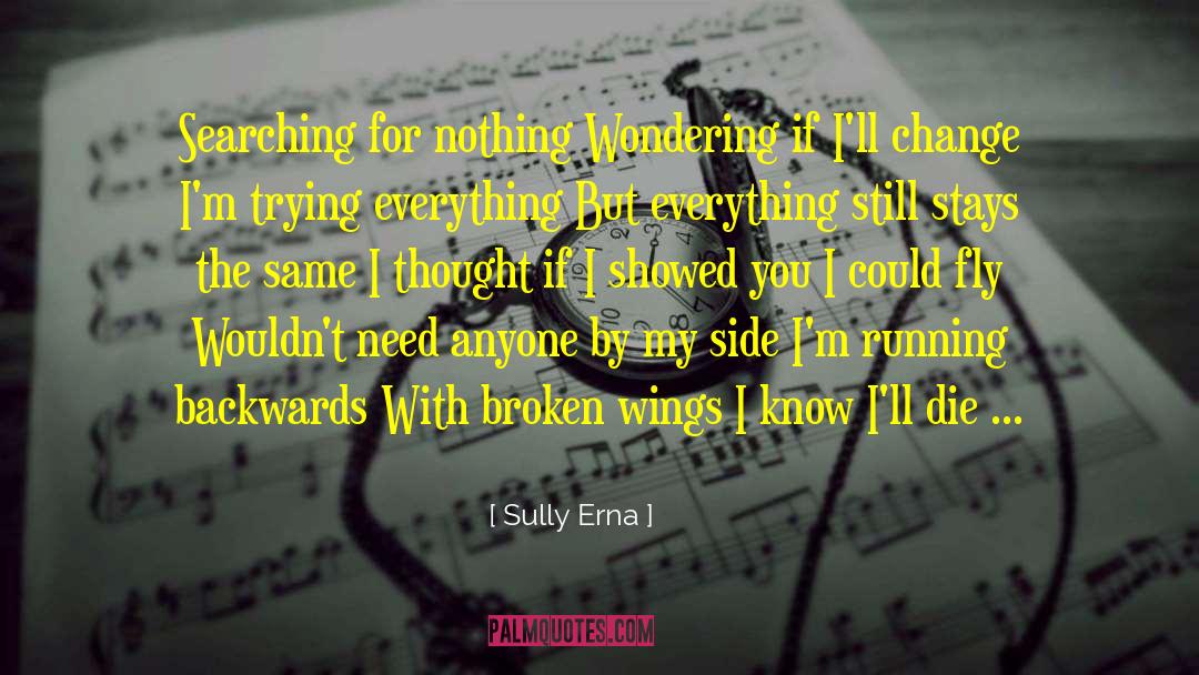 Broken Wings quotes by Sully Erna