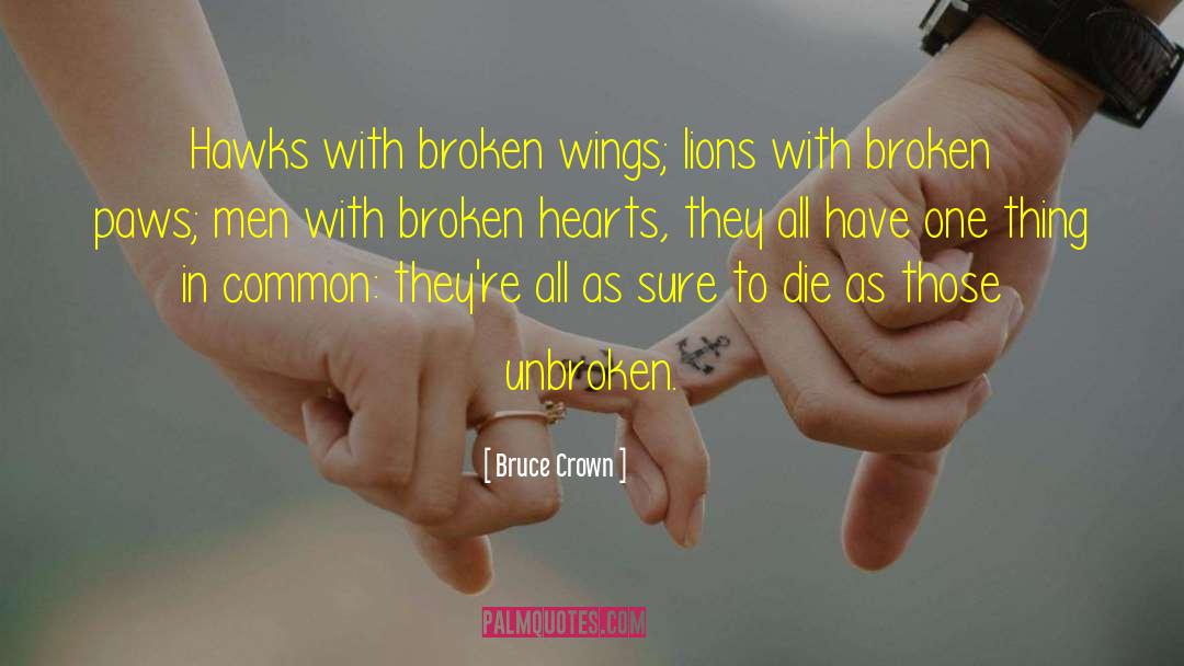 Broken Wings quotes by Bruce Crown