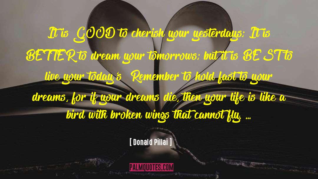 Broken Wings quotes by Donald Pillai