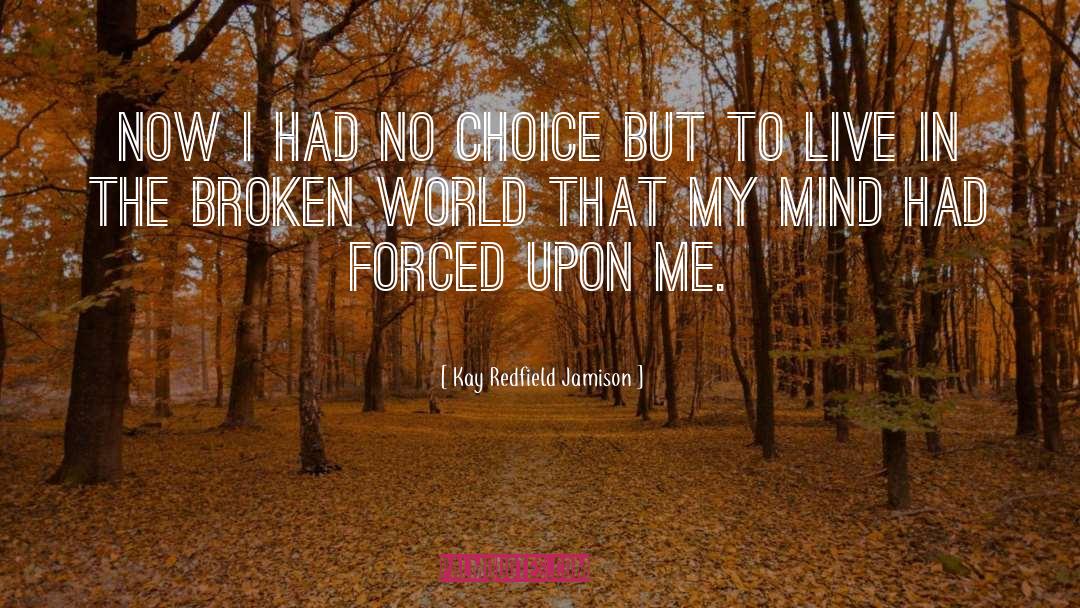 Broken World quotes by Kay Redfield Jamison
