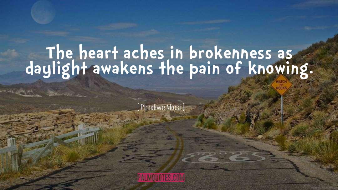 Brokenness quotes by Phindiwe Nkosi