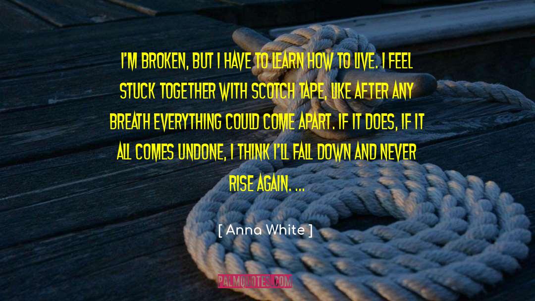 Brokenness quotes by Anna White