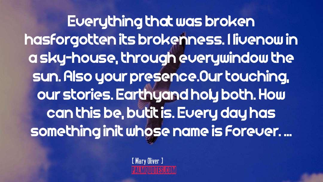 Brokenness quotes by Mary Oliver