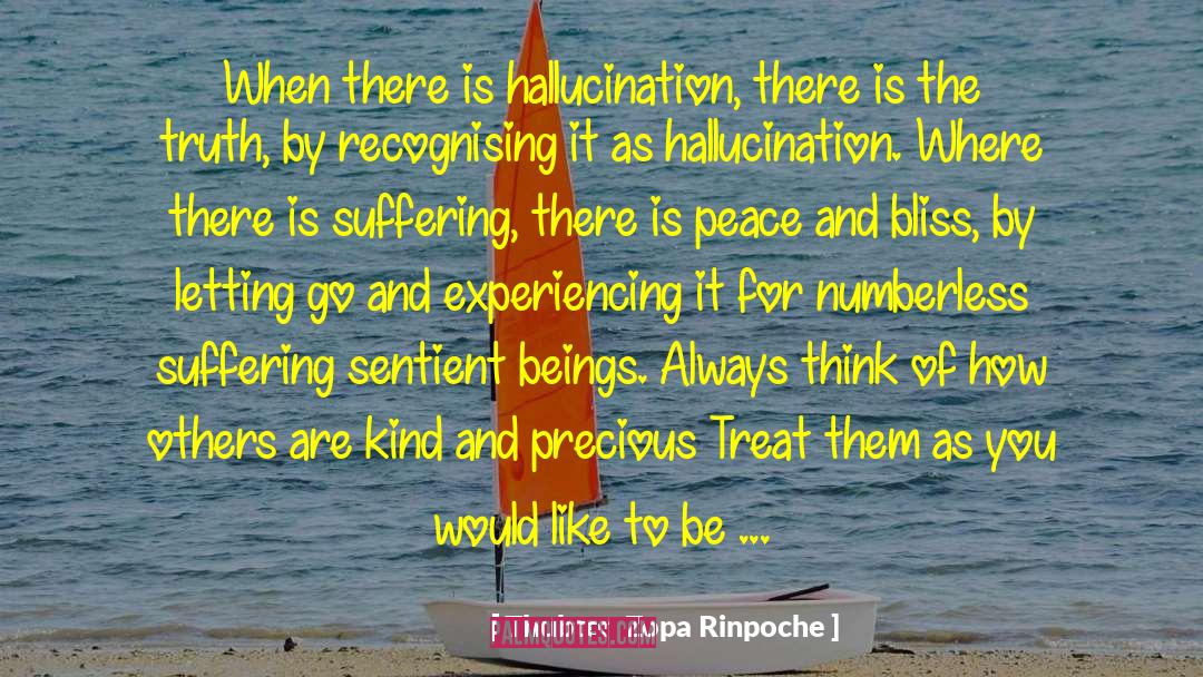 Bromdens Hallucinations quotes by Thubten Zopa Rinpoche