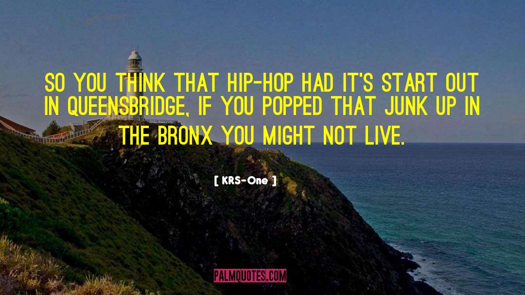 Bronx quotes by KRS-One