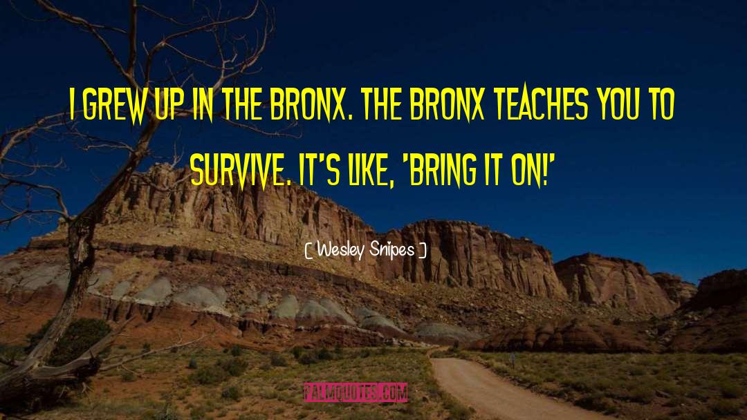 Bronx quotes by Wesley Snipes