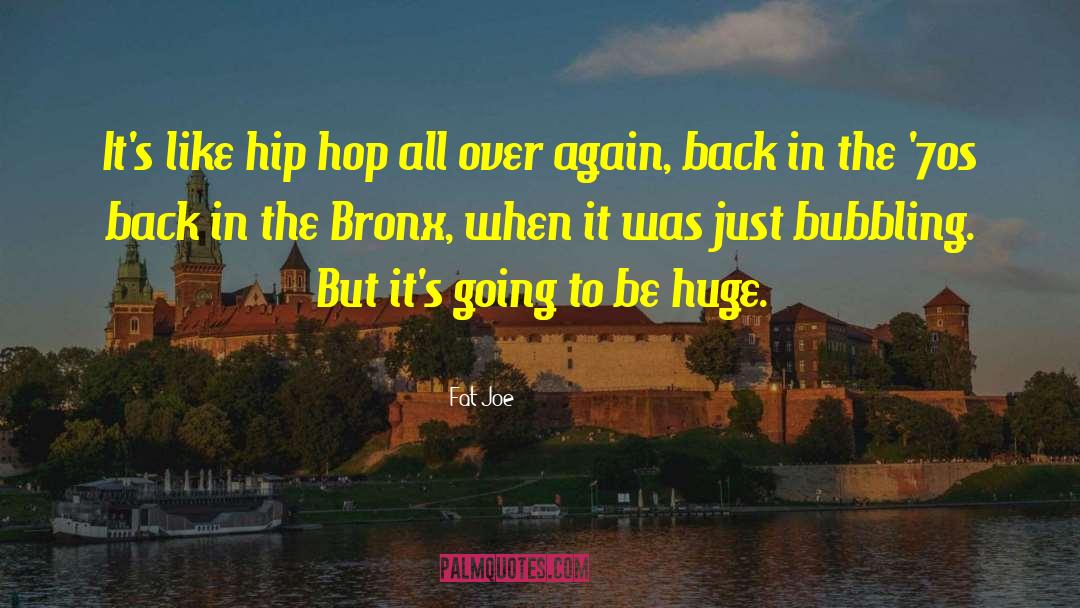 Bronx quotes by Fat Joe