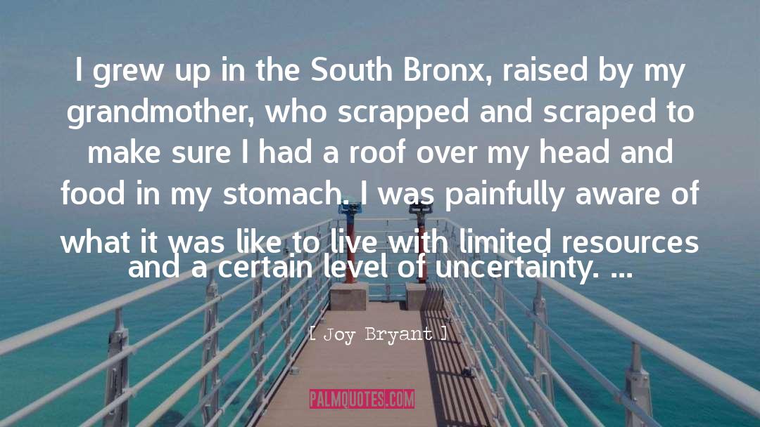 Bronx quotes by Joy Bryant