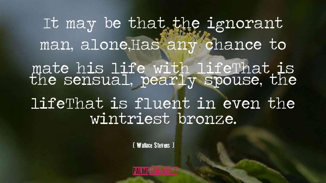 Bronze Horseman quotes by Wallace Stevens