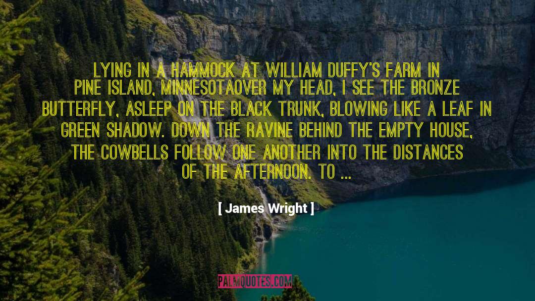 Bronze quotes by James Wright