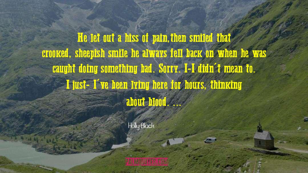 Brooding Boys quotes by Holly Black