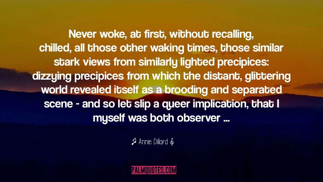 Brooding quotes by Annie Dillard