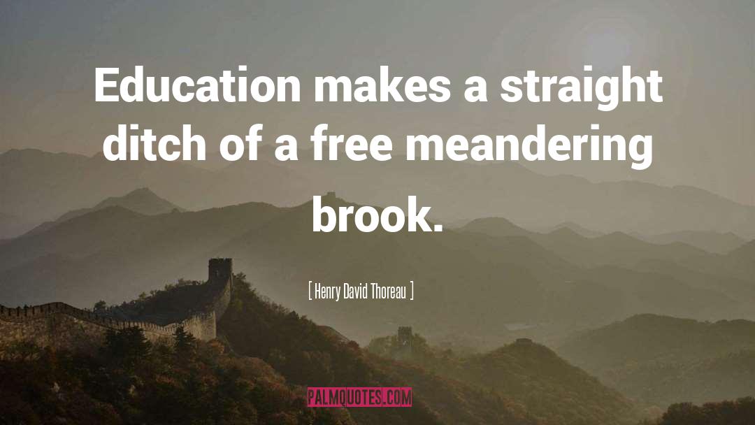 Brook quotes by Henry David Thoreau