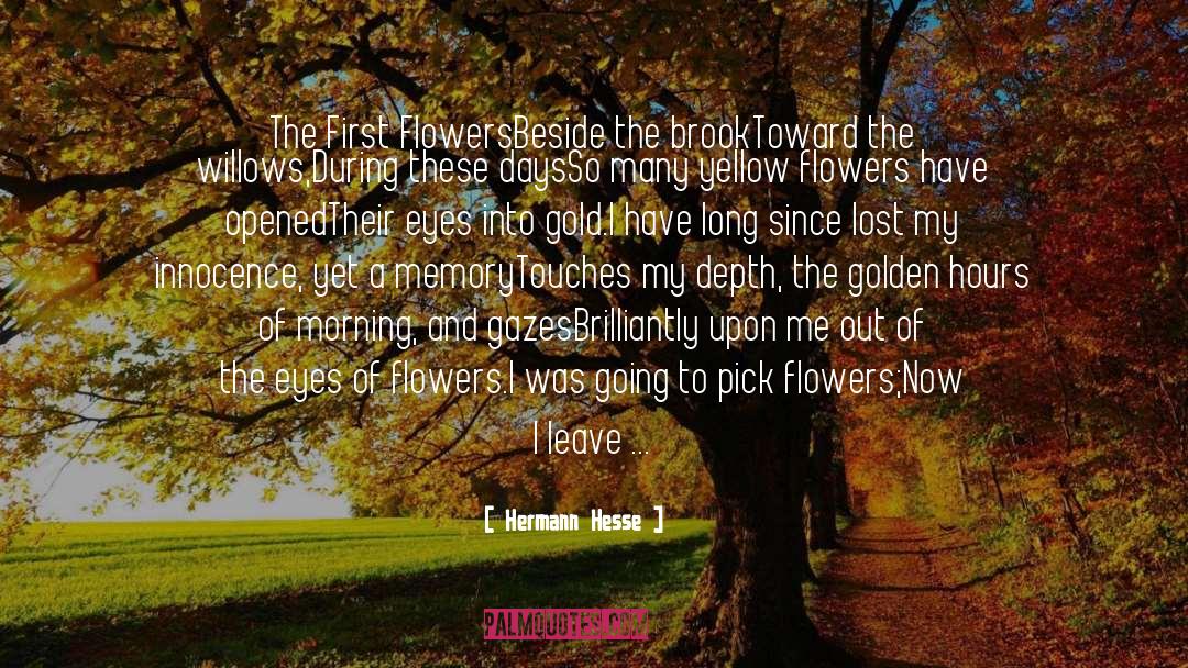 Brook quotes by Hermann Hesse