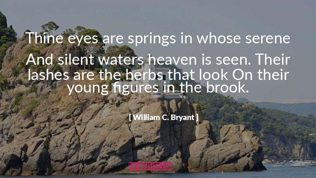 Brook quotes by William C. Bryant