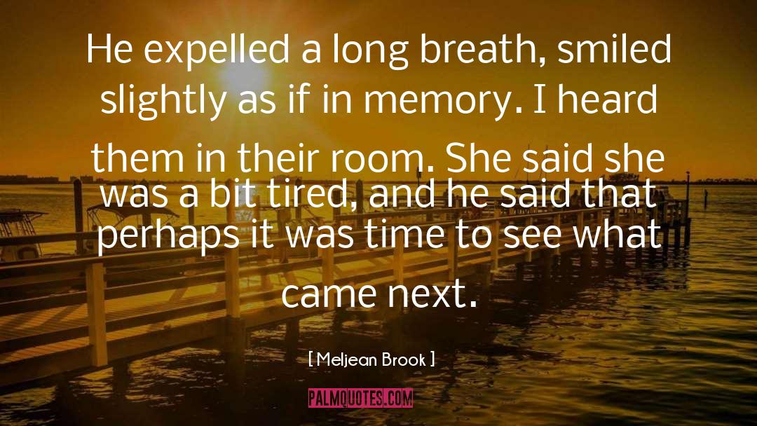 Brook quotes by Meljean Brook