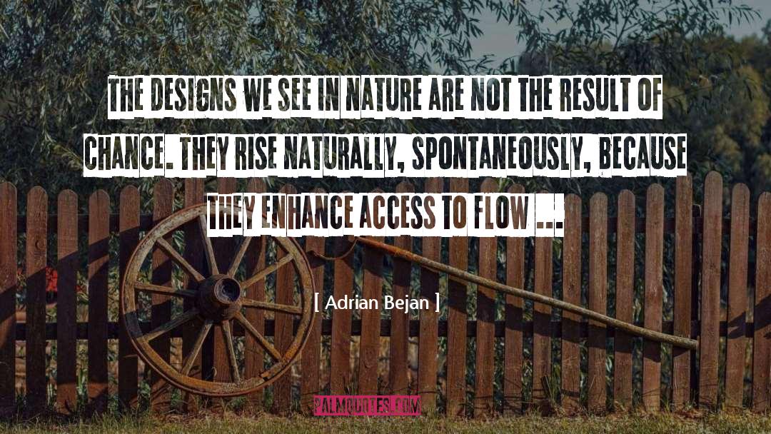 Brookanne Designs quotes by Adrian Bejan