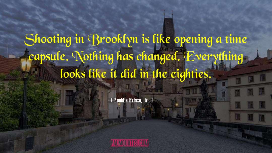 Brooklyn quotes by Freddie Prinze, Jr.