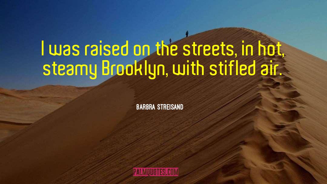 Brooklyn Waterfront quotes by Barbra Streisand