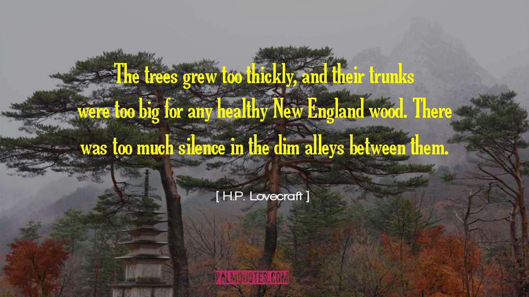 Brookshaw England quotes by H.P. Lovecraft