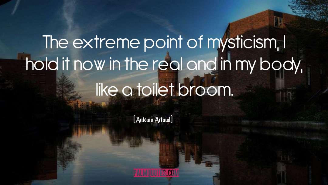 Broom quotes by Antonin Artaud