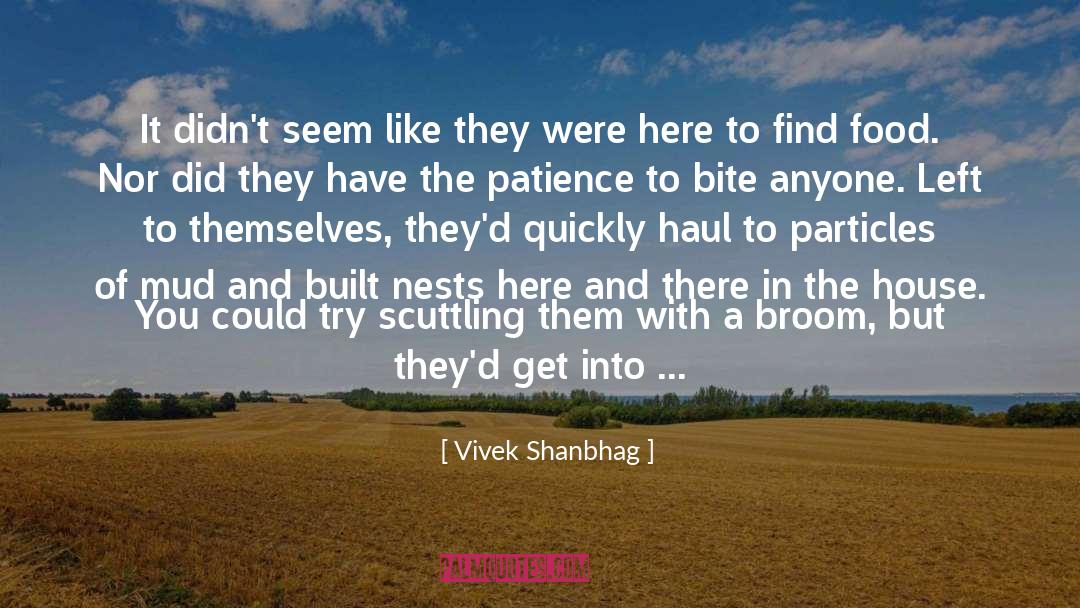 Broom quotes by Vivek Shanbhag