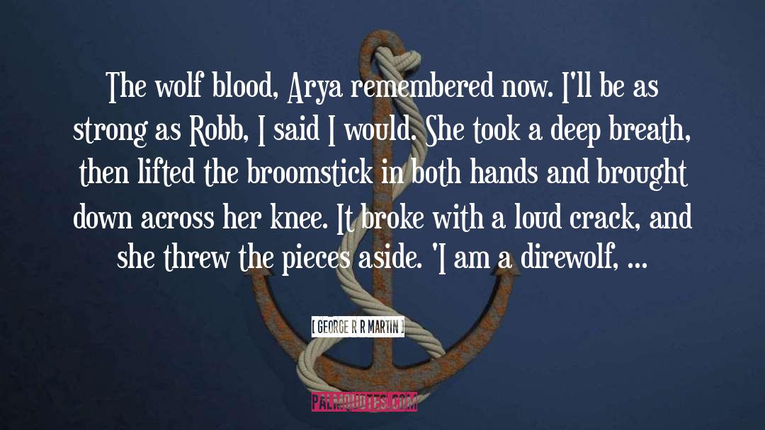 Broomstick quotes by George R R Martin