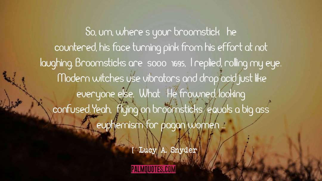 Broomsticks quotes by Lucy A. Snyder