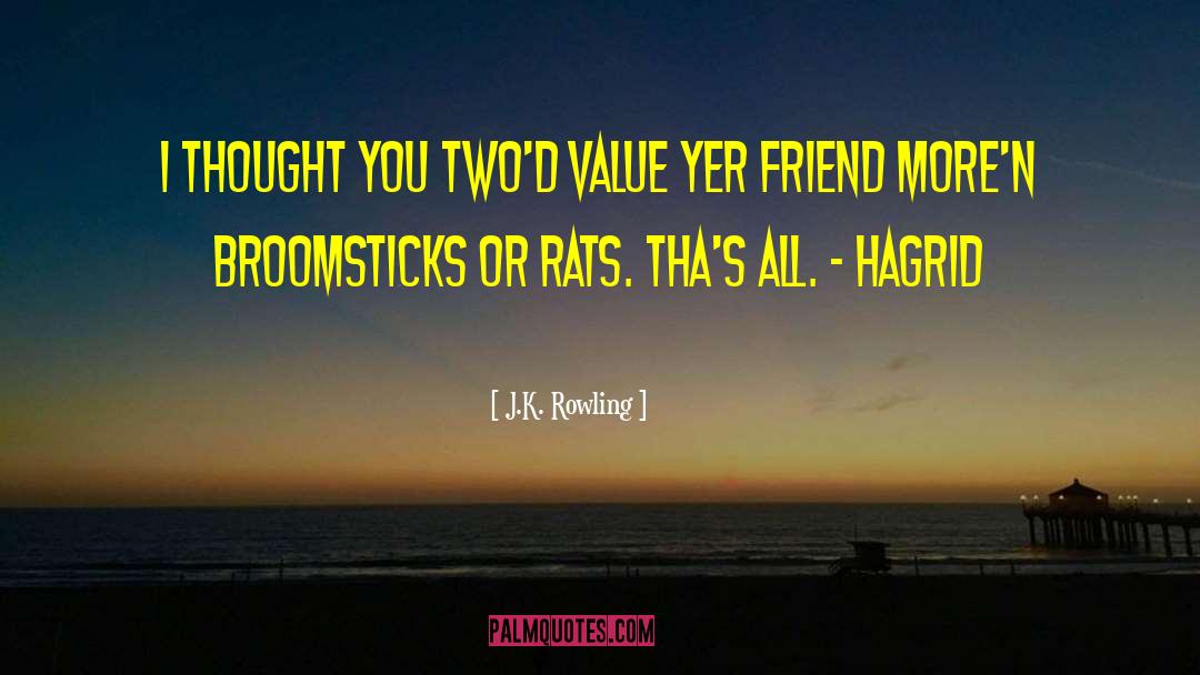 Broomsticks quotes by J.K. Rowling