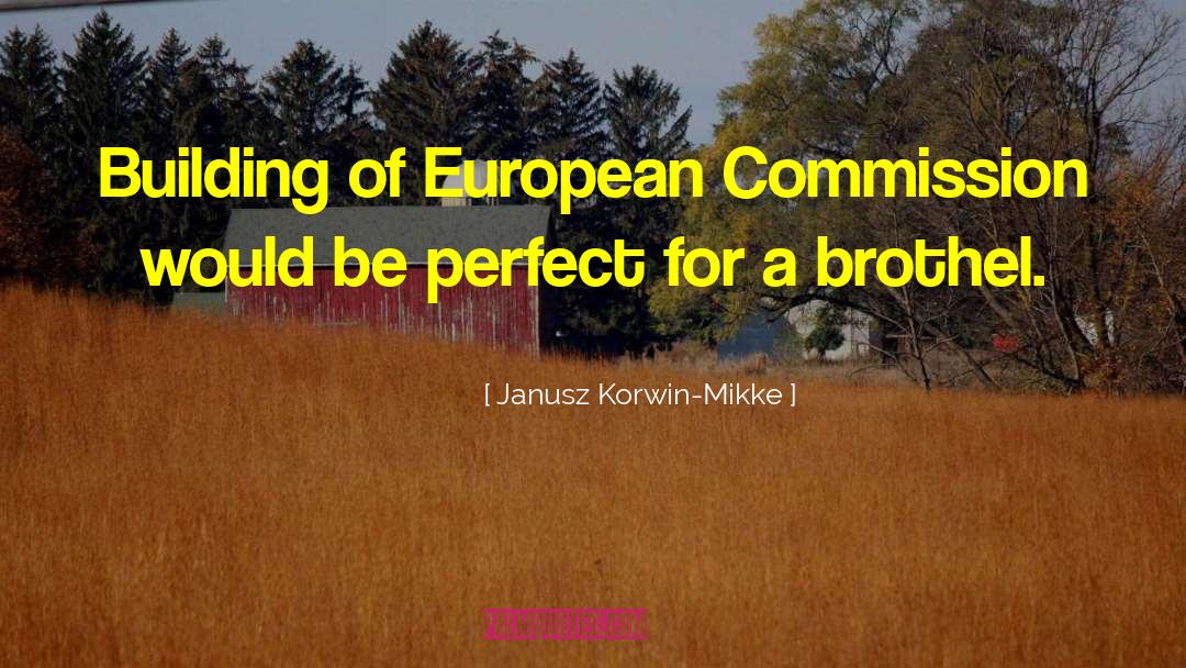 Brothel quotes by Janusz Korwin-Mikke