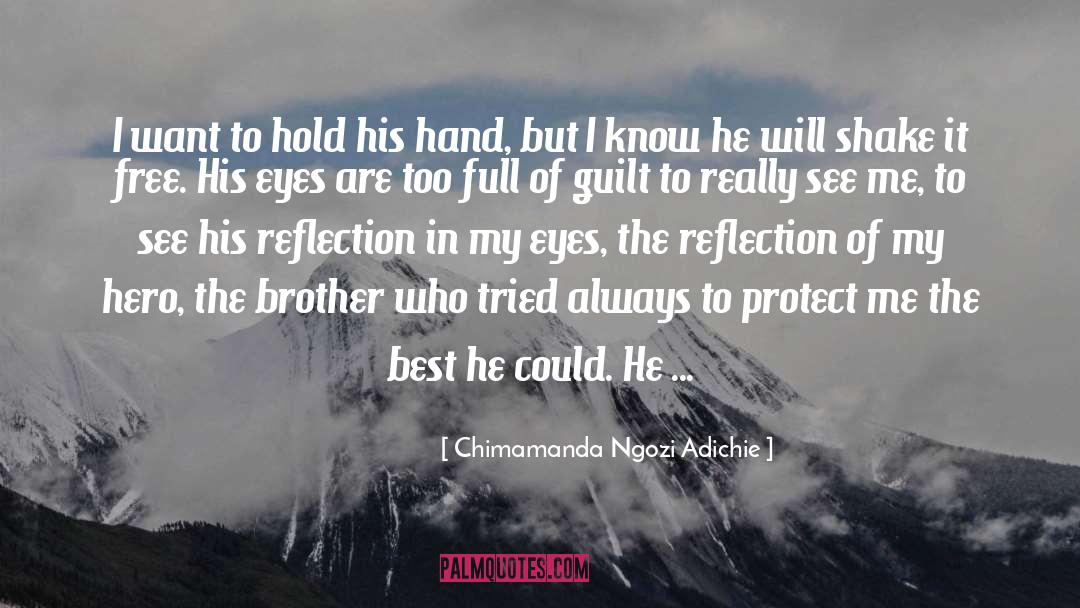 Brother In Arms quotes by Chimamanda Ngozi Adichie