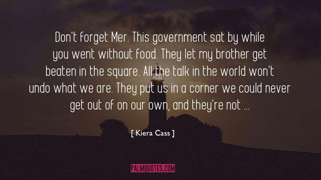 Brother In Arms quotes by Kiera Cass