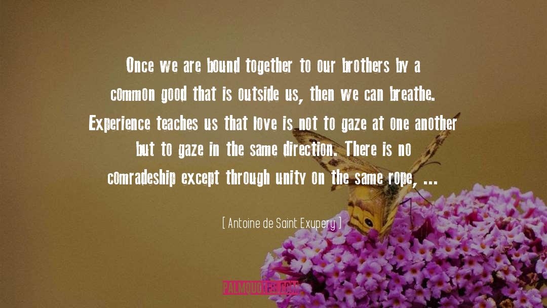 Brother Love quotes by Antoine De Saint Exupery