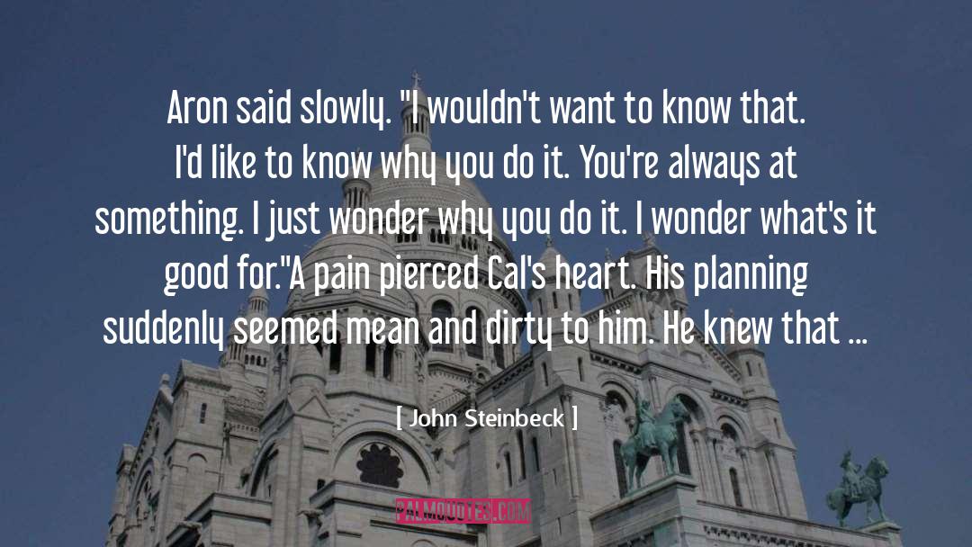 Brother Sister quotes by John Steinbeck