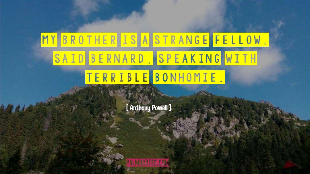 Brother Sisterhood quotes by Anthony Powell