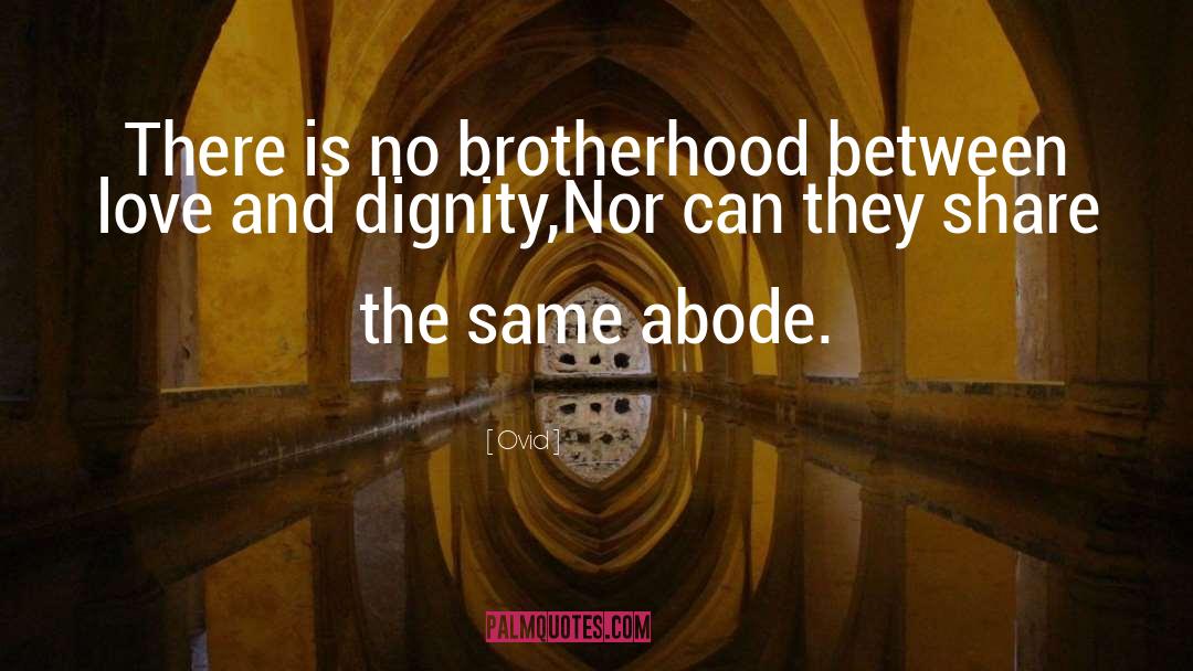 Brotherhood quotes by Ovid