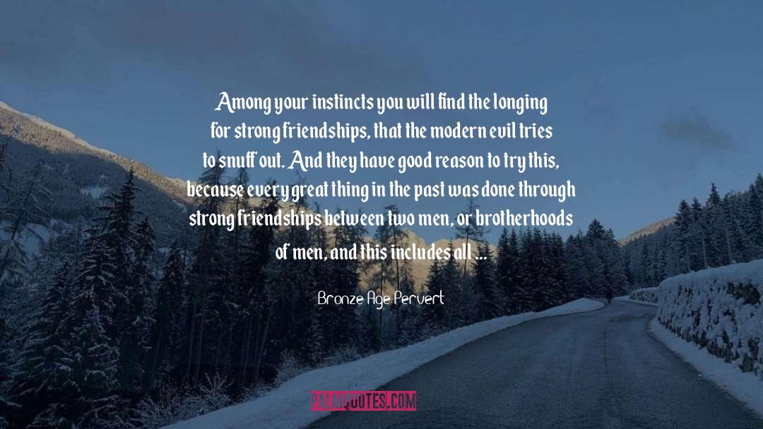 Brotherhoods quotes by Bronze Age Pervert