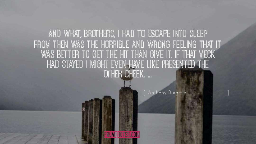 Brothers quotes by Anthony Burgess